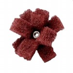 61500295656參考圖片